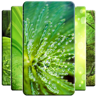 Green Wallpaper