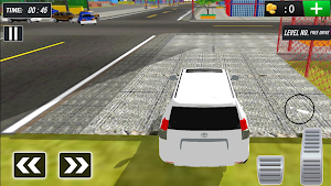 Prado Car - Offroad Drive Screenshot 2