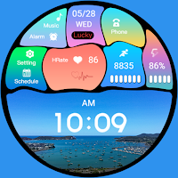 Alien Mimic Weather ZKin Watch