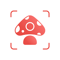 Picture Mushroom - Mushroom ID