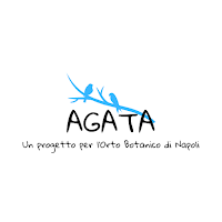 Progetto Agata