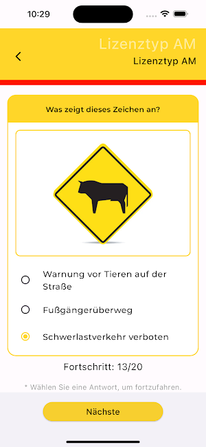 German Driving Test Screenshot 0