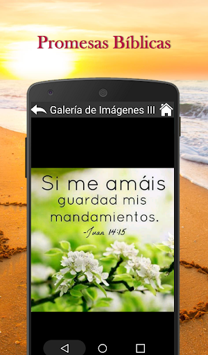 Promesas Bíblicas Cristianas Screenshot 1