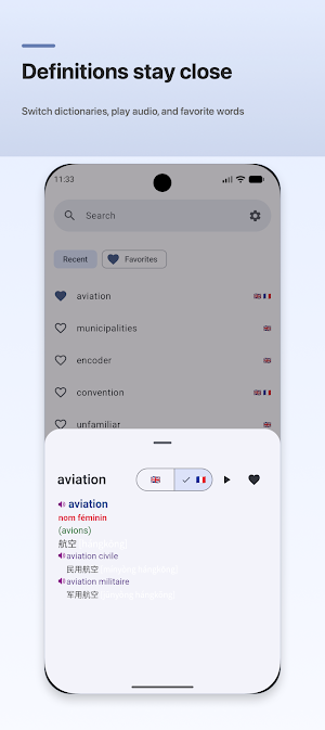 DictVault Screenshot 1