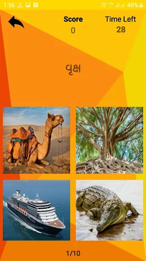 Gujarati Picture Quiz Screenshot 2