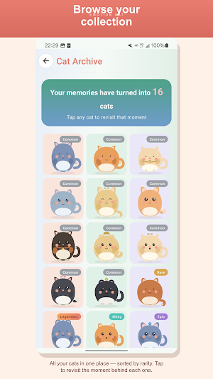 Emotion Cat Screenshot 2