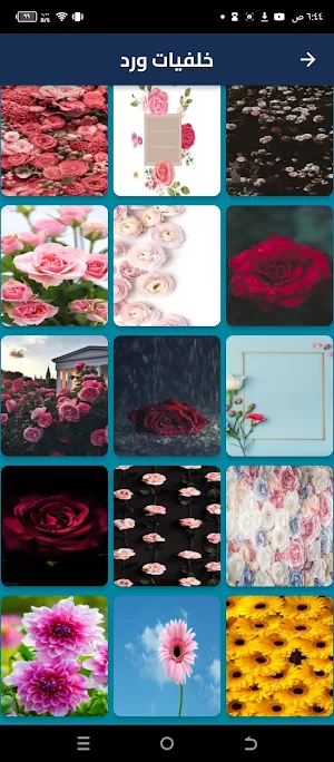 خلفيات ورد Screenshot 2