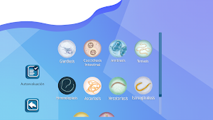 Enteropara-site Screenshot 2