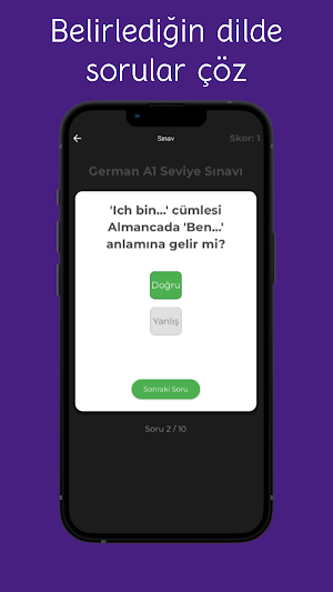 LingoWorld Screenshot 3