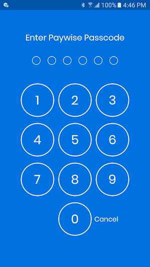 PayWallet Screenshot 0