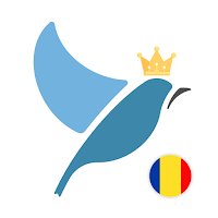 Romanian Language Tests