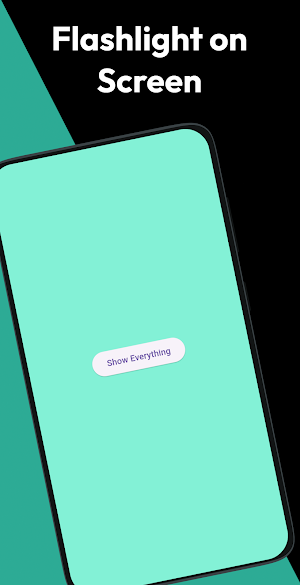 Flashlight: LED Torch Light Screenshot 2