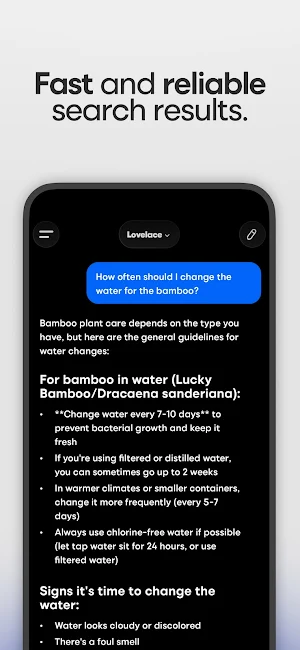 Lovelace Screenshot 2