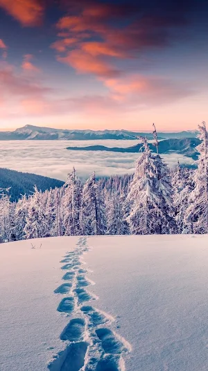 Winter Wallpapers in 4K HD Screenshot 0