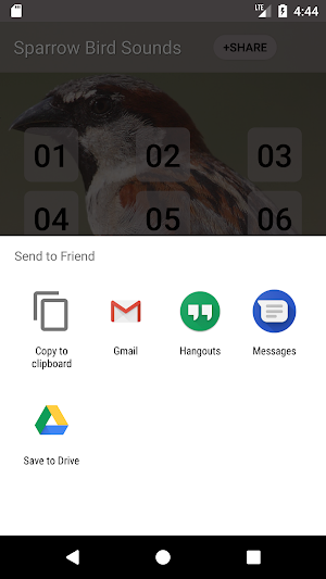 Sparrow Bird Sounds Screenshot 2