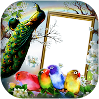 Love Birds DP for Insta/FB