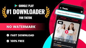 Download video no watermark Screenshot 0