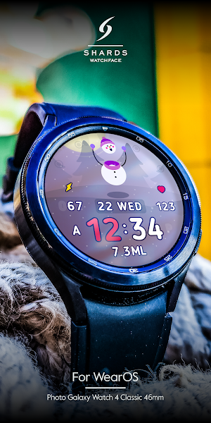 SH008 Watch Face, WearOS watch Screenshot 3