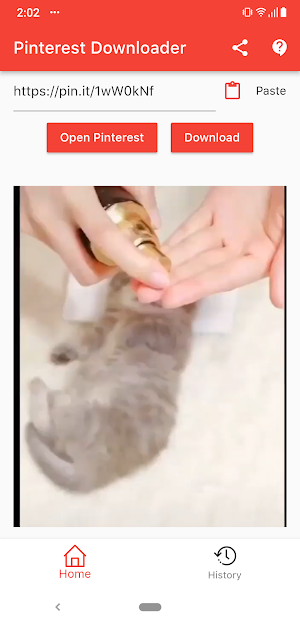 Video Pinterest Downloader Screenshot 2