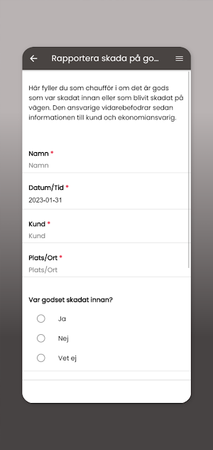 Fristads Expressbyrå Screenshot 2