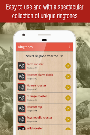 rooster ringtones for phone, rooster sounds app Screenshot 1