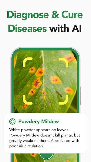Plant Care: Plant Identifier Screenshot 2