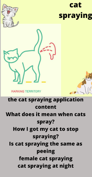 cat spraying Screenshot 3