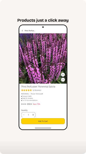 Garden Crossings Screenshot 2