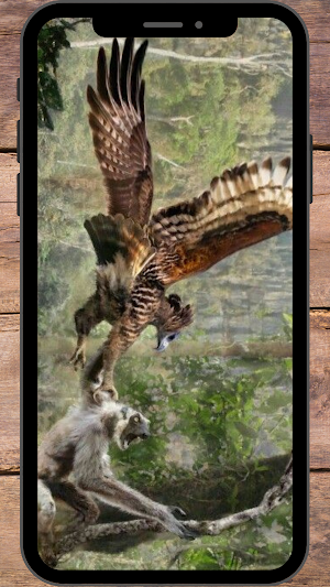 Elang Garuda Wallpaper Screenshot 3