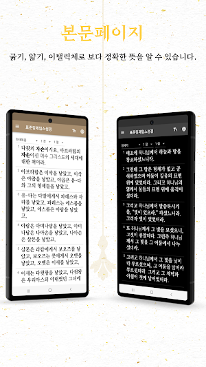 표준킹제임스성경 Screenshot 1