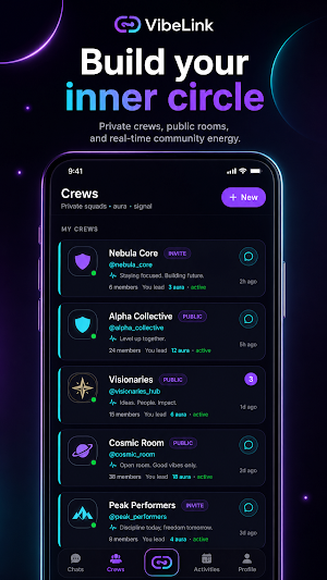 VibeLink Screenshot 2