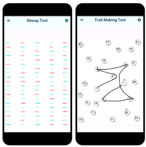 BSICoS Screenshot 2