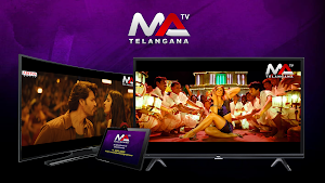 Telangana TV Screenshot 2