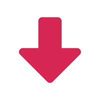 All Video Saver