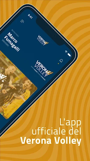 Verona Volley Screenshot 1