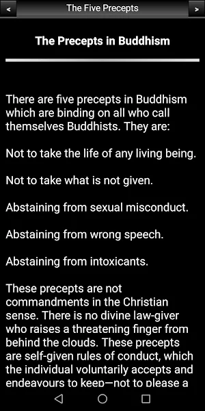 Buddhism: The Five Precepts Screenshot 2