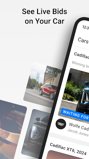 Cadillac Marketplace Screenshot 0