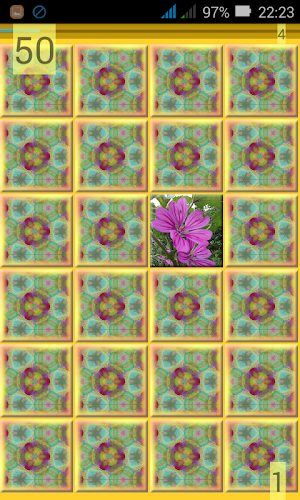 Memory Shuffle Screenshot 3