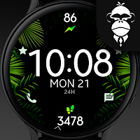 Tropical Leaves Watch Face