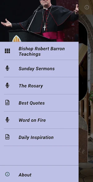 Bishop Robert Barron Teachings Screenshot 3
