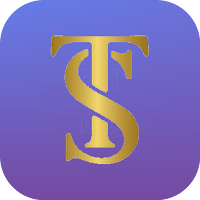 TS Finance - Debt & Budget