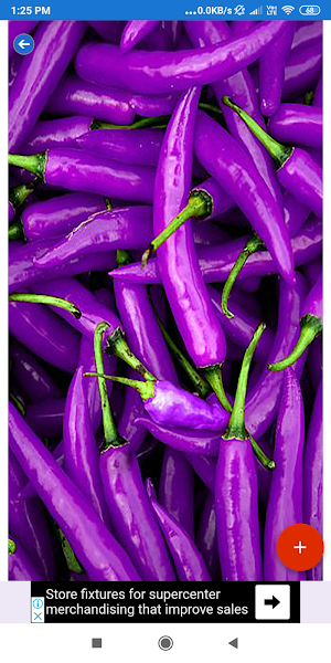 Purple HD Wallpapers Screenshot 2