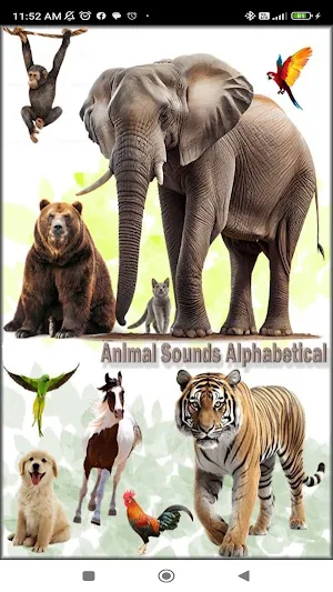 Animal Sounds Alphabetical Screenshot 0