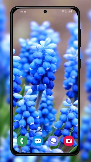 Flowers wallpaper background Screenshot 3