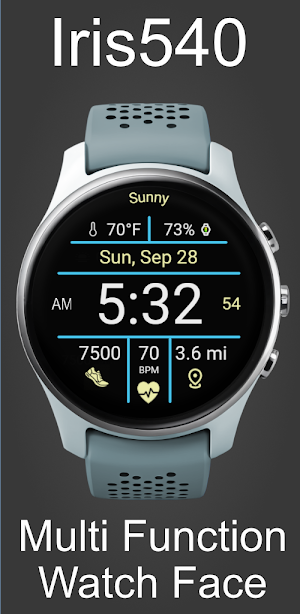 Multi-Function Digital Iris540 Screenshot 0