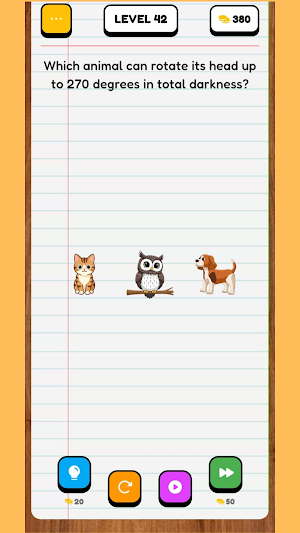 Puzzle Riddles: Mind Games Screenshot 2