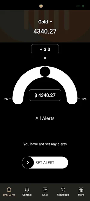 Crystal Shine Bullion Screenshot 1