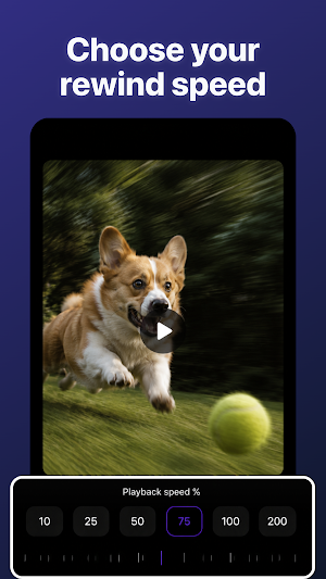 Reverse Video - RewindX Screenshot 3
