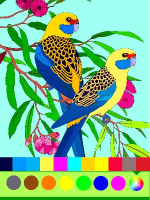 Birds Coloring Art Book Screenshot 1