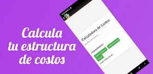 Estructura de Costos Screenshot 0
